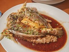 油醋汁鲜肉蒸大黄鱼-广州富力君悦大酒店空中花园