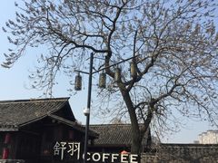 -舒羽咖啡(运河店)