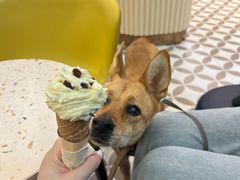 -CREAM STORY意大利手工冰淇淋&甜品(万象前海店)