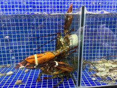 -明记海鲜大排档(巽寮湾店)