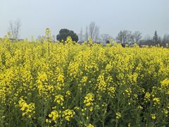 -中国天府农业博览园