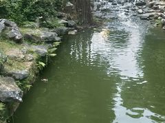 -珠海圆明新园