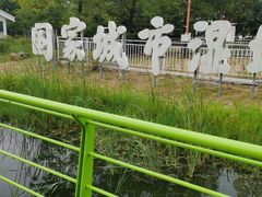 -金银湖国家城市湿地公园