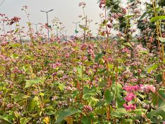 -中国天府农业博览园