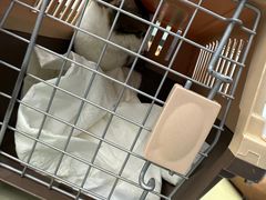 -瑞派动物医院·猫专科·至诚(江南中分院)