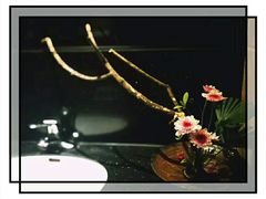 -白鹭原茶艺馆