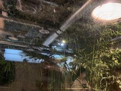 -春记潮汕牛肉火锅
