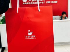 -天鹅到家·保姆月嫂育儿嫂(南开店)