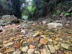 -南海湾森林生态园