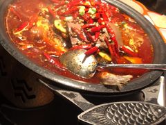-探鱼·鲜青椒爽麻烤鱼(广州花都来又来店)