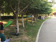 -灞河西岸滨河公园
