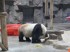 -栾川竹海野生动物园