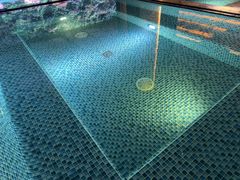 -浅深(北京北四环精品店)