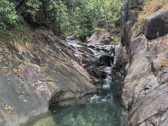 -广州白江湖森林公园