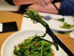 腐竹丝瓜尖-青梅酒肆PLUS(长白仙岛北路店)