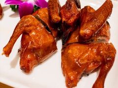 -鸽王世家(东华东路店)
