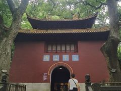 -普陀山风景名胜区-法雨禅寺