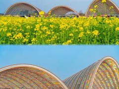 -中国天府农业博览园