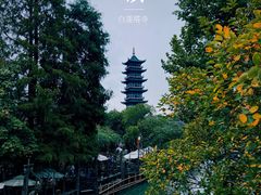 -乌镇西栅景区