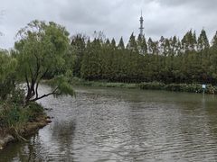 -自然谷恐龙园