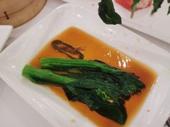 白灼菜心-海都六福酒家(世博广场店)
