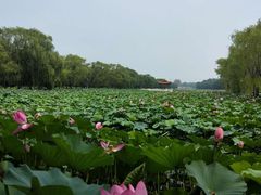 -南戴河国际娱乐中心