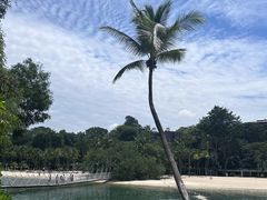 -巴拉湾海滩