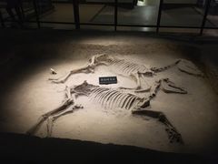 -洛阳周王城天子驾六博物馆