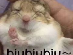 -肯德基(安定门店)