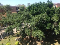 -广东外语外贸大学(白云山校区)