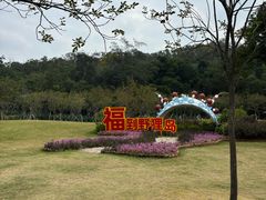 -野狸岛