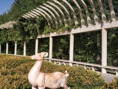 -党河风情线国家水利风景区