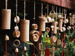 -深圳国际园林花卉博览园