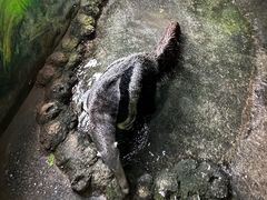 -常州淹城野生动物世界