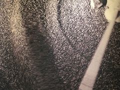 -星巴克臻选(重庆沙坪坝店)