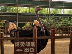 -呀路古热带植物园