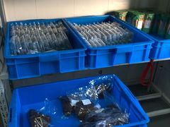 水产区-来噻布布 Lets BUBU