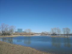 -大兴滨河森林公园