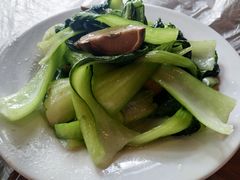 -绿野餐厅(上海动物园店)