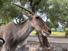 -北京野生动物园