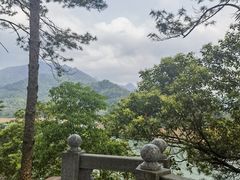 -广州市流溪河国家森林公园