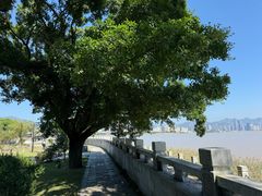 -江心屿景区