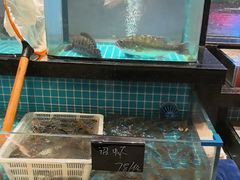 -老头儿油爆虾(胜利河美食街店)