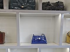 -翰皇直营洗衣洗鞋(望京鹿港店)