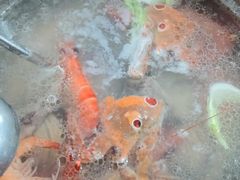 -海恋园海鲜餐馆