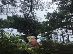 -罗田薄刀峰风景区