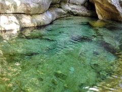 -祁门牯牛降观音堂风景区