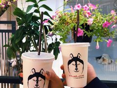 -TrueLove @ Neverland (Husky Cafe)