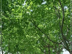 -宜兴龙背山森林公园