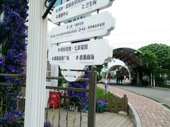 -紫颐香薰山谷景区